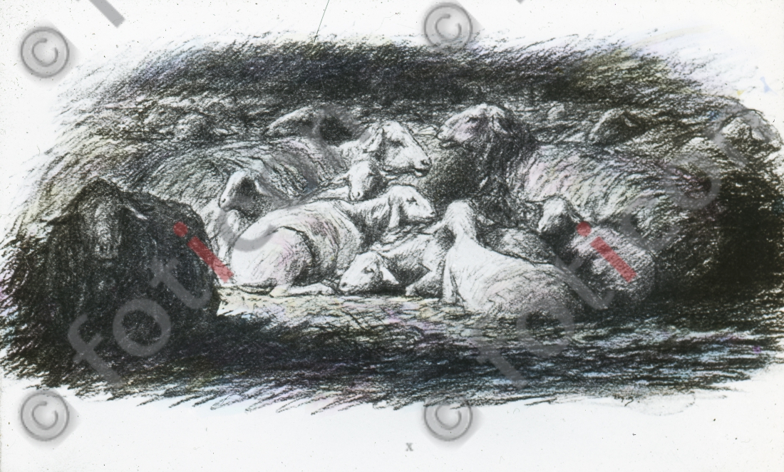 Gleichnis vom guten Hirten | Parable of the Good Shepherd - Foto foticon-simon-132023.jpg | foticon.de - Bilddatenbank für Motive aus Geschichte und Kultur
